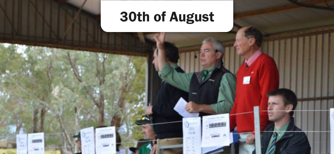 Gunallo On-Property Sale 2016