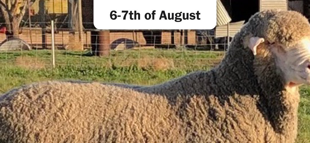 Hamilton Sheepvention