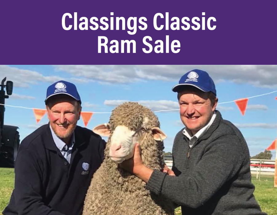 Classings Classic Ram Sale