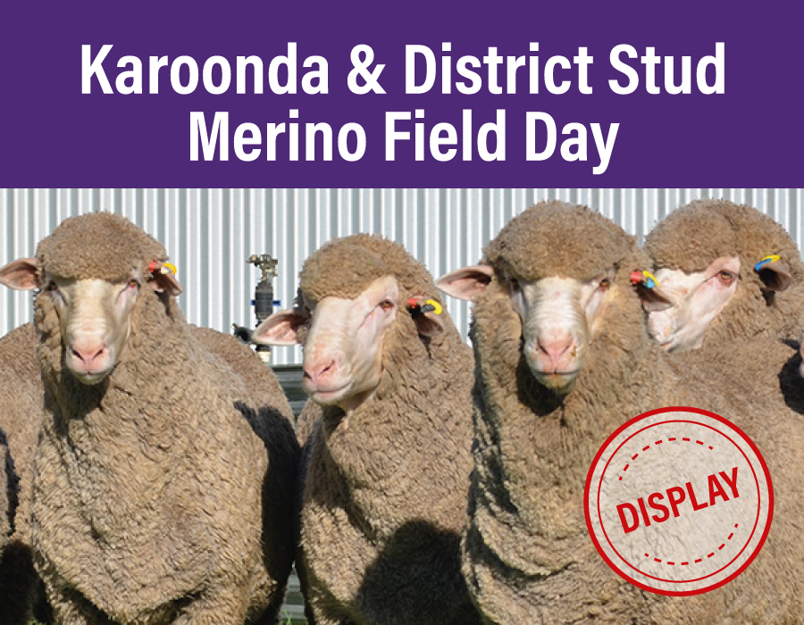 Karoonda & Districts Stud Merino Field Day