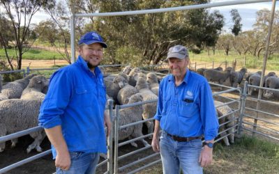 Ag still essential but restrictions force stud change