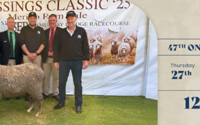 From the Australian Mallee to Patagonia: The Next Generation of Gunallo Genetics Begins in Argentina